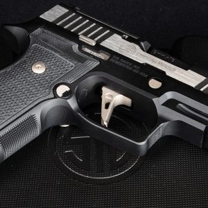 P320 AXG Equinox
