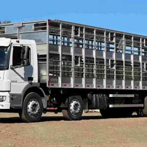 Get P365 NITRON Online
