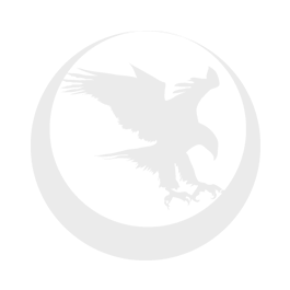 predator_1.png Nighthawk Custom Predator 2026 Edition 9mm