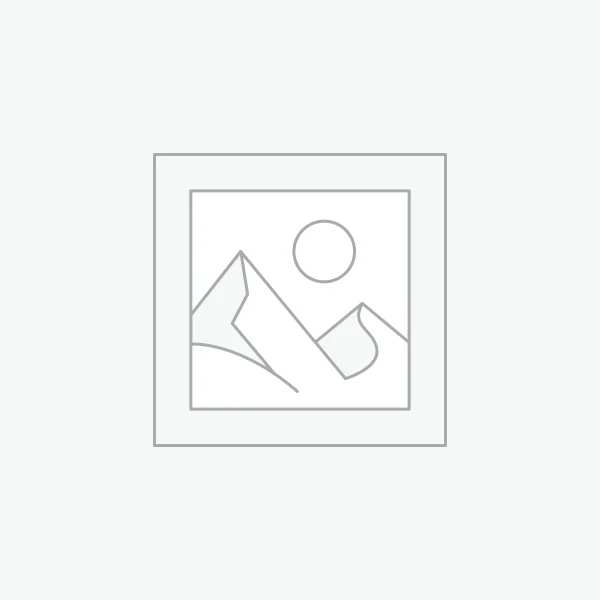 Beretta A400 Lite Shotgun